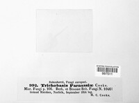 Image Associated With the Occurence